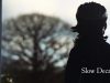 Sarah McQuaid – new tour dates, new album and new instruments!