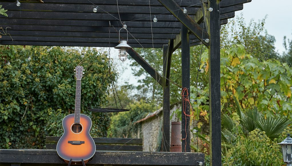 Aria Guitars MSG-02