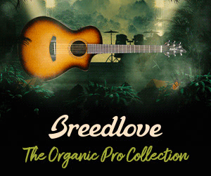 Breedlove Guitars