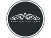 Avalon Guitars Announce New Ownership